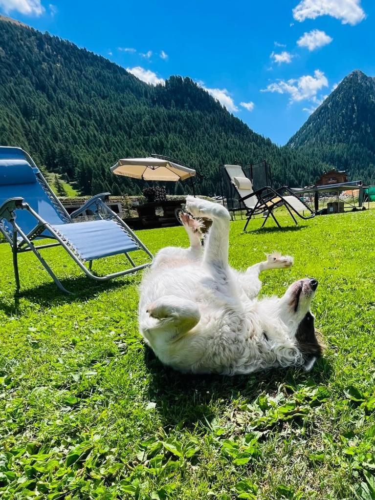Chalet Sunshine Livigno Exterior photo